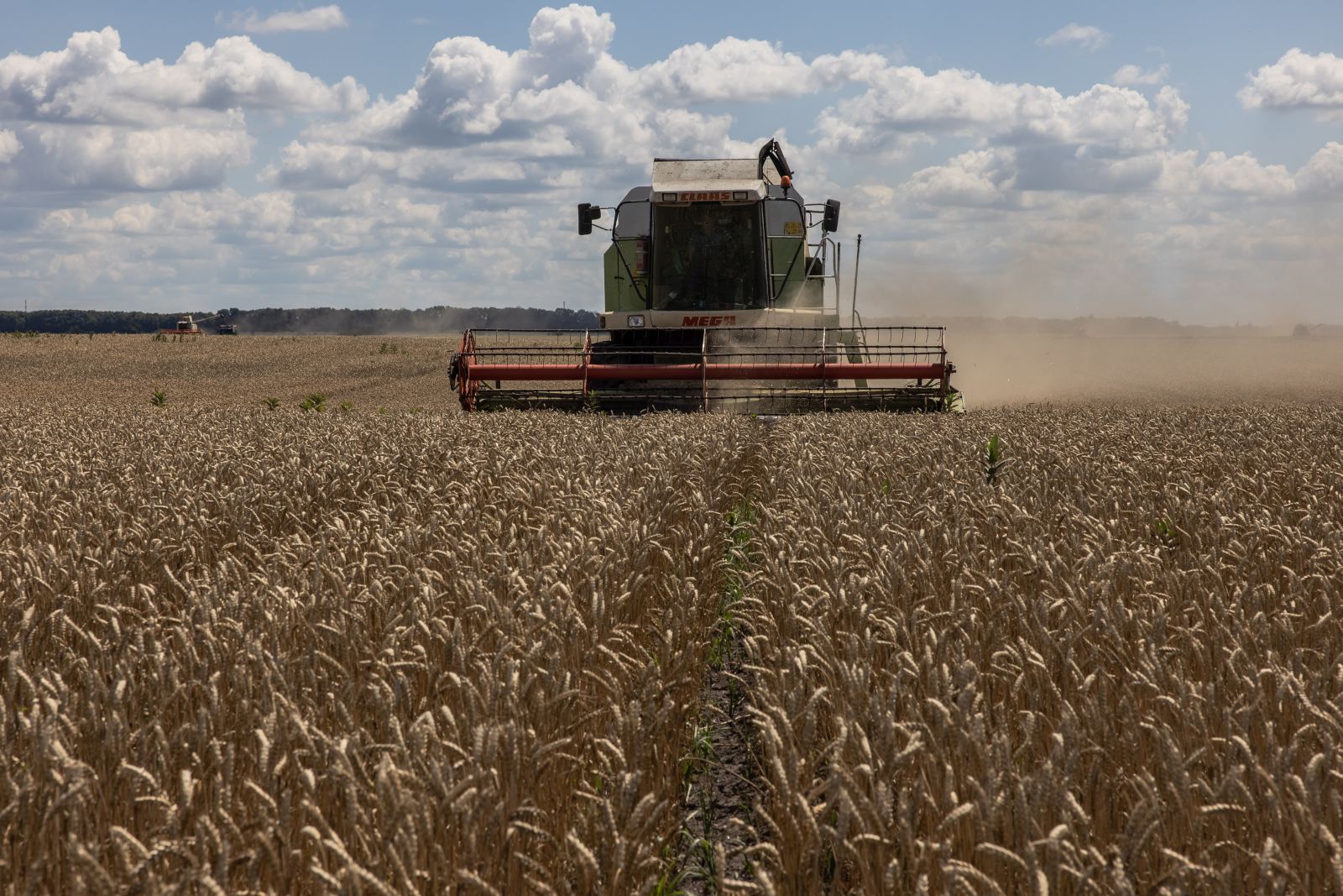 epa10092614 A combine harvester collects wheat in a field near Obukhiv city, Kyiv region, 26 July 2022. Kyiv and Moscow signed a landmark deal on 22 July to resume Ukrainian grain exports from Black Sea ports which would ease an international food crisis. Nevertheless, the day after on 23 July a Russian missile hit the southern Ukrainian sea port of Odesa. Russian troops on 24 February entered Ukrainian territory, starting a conflict that has provoked destruction and a humanitarian crisis.  EPA/ROMAN PILIPEY