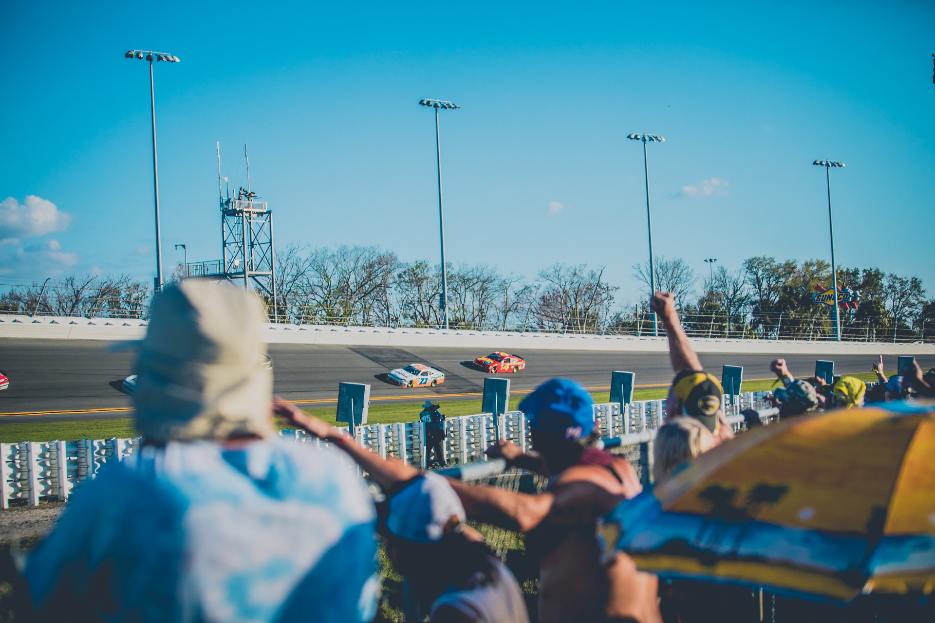 Unsplash/Tim Trad