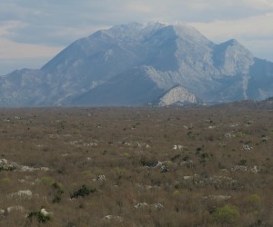 12.03.2016., Blato - Pocetak proljetnog budjenja prirode u krsu i u omiskom zaledju nedaleko Blata na  Cetini. "n Photo: Ivo Cagalj/PIXSELL