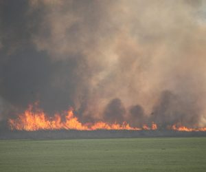 25.03.2012., Bilje - Pozar koji prijeti vec nekoliko dana vatrogasci Osijeka i pripadnici vise DVD-a pokusavaju zaustaviti da se dalje ne prosiri prema Kopackom ritu i obliznjoj sumi.rPhoto: Davor Javorovic/PIXSELL
