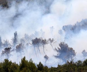 12.08.2021., Sibenik - Pozar kod Vrpolja gase vatrogasne snage, 43 vatrogasca, 16 vozila i dva kanadera. Pozar se priblizio se i kucama. Photo: Dusko Jaramaz/PIXSELL