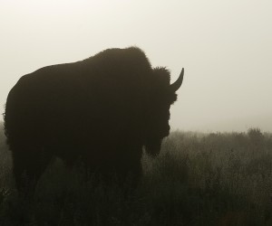 Unsplash/Hans Veth