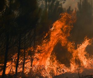 epa10077930 Flames rise at a forest fire near Louchats, some 35kms from Landiras in Gironde, southwestern France, 18 July 2022. The intense mobilisation of firefighters did not help to subdue the fires in the south of France, and particularly in Gironde where flames ravaged more than 15,000 hectares of forests since it is started on 12 July, in a context of generalised heat wave in France.  EPA/PHILIPPE LOPEZ / POOL  MAXPPP OUT