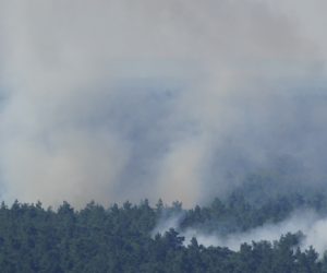 epa10105284 Smoke rises during a forest fire at the Grunewald in Berlin, Germany, 04 August 2022. The Berlin Fire Department reported on their twitter channel about a currently ongoing fire in Grunewald, accompanied with explosions on a an ammunition explosion site.  EPA/CLEMENS BILAN