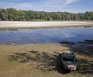 epa10105314 A part of an old Rhine arm with low water level at the Rhine river in Ketsch near Mannheim, Germany, 04 August 2022. The river level in Speyer has currently dropped to 211 centimetres. The German Weather Service (DWD) expects the heat wave to peak in the coming days, with temperatures between 34 and 38 degrees Celsius predicted in large parts of Germany. In the southwestern part of the country even the 40 degrees Celsius mark is expected to be exceeded locally.  EPA/RONALD WITTEK