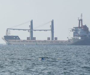 epa10118529 The FULMAR S bulker leaves a port near South Ukrainian city of Odesa, Ukraine, 13 August 2022. FULMAR S was the first ship to enter a Ukrainian port since the start of Russian invasion. The bulker FULMAR S, under the Barbados flag, left the port of Chornomorsk of Odesa area in the direction of Turkey. It will team up in a caravan with the THOE bulker and together they will carry 14.5 thousand tons of agricultural products, according to the Ukrainian Ministry of Infrastructure. Ukraine exports grain since a safe passage deal was signed between Ukraine and Russia on 22 July in Istanbul.  EPA/STR