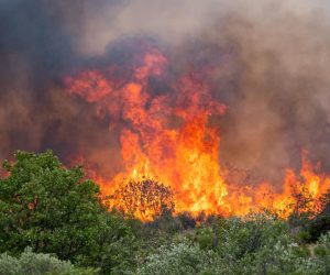 02.08.2022. Vodice - U okolici Sibenika u kratkom vremenskom razmaku buknula su  tri pozara, u mjestima kod Srima i Vodica. Vatrogasci su na terenu, a u pomoc su poslani kanaderi. Photo: Bruno Fantulin/PIXSELL