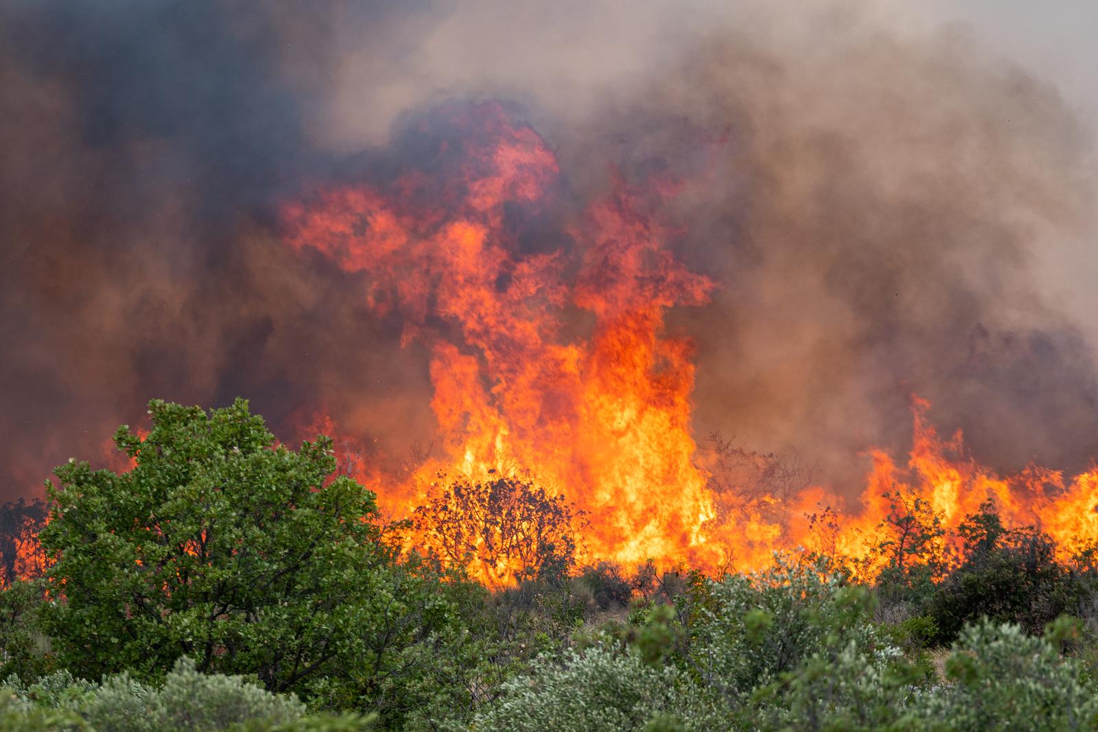 02.08.2022. Vodice - U okolici Sibenika u kratkom vremenskom razmaku buknula su  tri pozara, u mjestima kod Srima i Vodica. Vatrogasci su na terenu, a u pomoc su poslani kanaderi. Photo: Bruno Fantulin/PIXSELL
