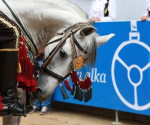 07.08.2016., Sinj - 301. Sinjska Alka. Sinjska alka je hrvatska viteska igra. Odrzava se svake godine u nedjelju u prvoj trecini mjeseca kolovoza u Sinju, na godisnjicu pobjede nad turskim osvajacima 14. kolovoza 1715. Na taj dan je 700 hrvatskih vojnika iz Sinja uspjelo odbiti navalu vojske turskog seraskera Mehmed-pase Celica koja je brojala 60.000 vojnika. Photo: Miranda Cikotic/PIXSELL
