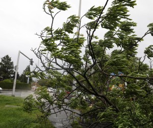 13.05.2019., Zagreb - Olujni vjetar koji puse od jucer napravio brojnu stetu u gradu. rrPhoto: Patrik Macek/PIXSELL