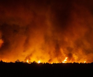 13.07.2022., Sibenik, Zaton - Požar se zbog jakog vjetra proširio na brdo pored Zatona.  Photo: Sime Zelic/PIXSELL