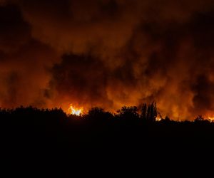 13.07.2022., Sibenik, Zaton - Požar se zbog jakog vjetra proširio na brdo pored Zatona.  Photo: Sime Zelic/PIXSELL