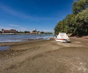 16.08.2022., Osijek - Nizak vodostaj rijeke Drave kod Osijeka. Photo: Davor Javorovic/PIXSELL