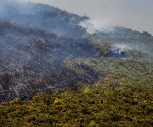 18.08.2022., Kastela  - Pozar na brdu Trecanica.
Nakon prolaska Vlaka, na nekoliko mjesta planuo je pozar koji se brzo prosirio te su aktivirana 4 kanadera te 90 vatrogasaca. 
 Photo: Zvonimir Barisin/PIXSELL