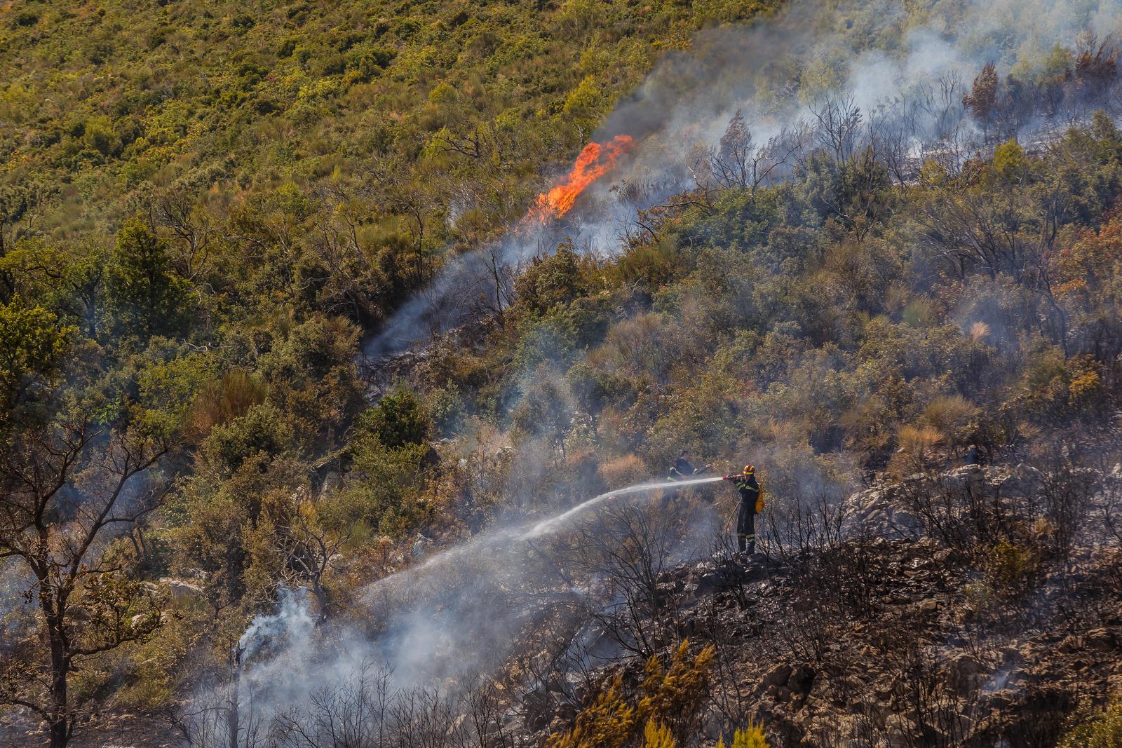 18.08.2022., Kastela  - Pozar na brdu Trecanica.
Nakon prolaska Vlaka, na nekoliko mjesta planuo je pozar koji se brzo prosirio te su aktivirana 4 kanadera te 90 vatrogasaca. 
 Photo: Zvonimir Barisin/PIXSELL