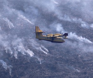 19.08.2021., Hvar - U pomoc vatrogascima stigli su i kanaderi koji gase pozar koji je nocas buknuo na Hvaru kod Starog Grada na rtu Kabal. Vatrogasci kazu da vatrena stihija ne ugrozava stambene objekte, a ocekuje se da ce biti lokaliziran tijekom dana. rPhoto: Ivo Cagalj/PIXSELL