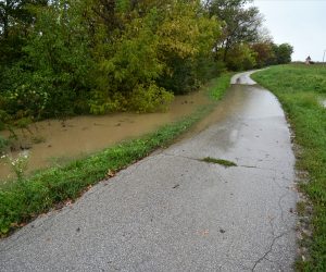 Karlovac, 17.9.2022.- Karlovaèkom se podruèju pribliava vodni val s gornjeg toka rijeke Kupe u Gorskom Kotaru, gdje su ponegdje jo u petak uvedene mjere izvanrednog stanja, a karlovaèki Stoer Civilne zatite poèeo je pripreme za redovite mjere obrane od poplava i pozvao graðane na oprez. Kupa u Karlovcu narasla je u posljednjih 14 sati za dva metra i 84 centimetra. Na slici mjesna cestu u selu Husju, nizvodno od Karlovca. 
foto HINA/ Mladen VOLARIÆ/ ua