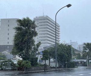 epa10190963 Trees are blown by strong winds generated by typhoon Nanmadol in Miyazaki, Kyushu island, southwestern Japan, 18 September 2022. Nanmadol is approaching the western coast of Kyushu with risks of landfall. The Japan Meteorological Agency calls for strict vigilance as strong winds and heavy rain are expected in a large area.  EPA/JIJI PRESS JAPAN OUT EDITORIAL USE ONLY/