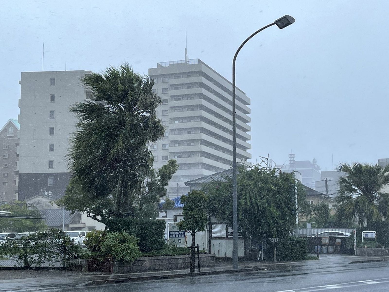 epa10190963 Trees are blown by strong winds generated by typhoon Nanmadol in Miyazaki, Kyushu island, southwestern Japan, 18 September 2022. Nanmadol is approaching the western coast of Kyushu with risks of landfall. The Japan Meteorological Agency calls for strict vigilance as strong winds and heavy rain are expected in a large area.  EPA/JIJI PRESS JAPAN OUT EDITORIAL USE ONLY/
