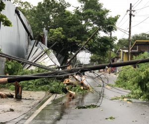 epa10194114 Fallen electrical poles after Hurricane Fiona passed through the Colo neighborhood in Carolina, a municipality near San Juan, Puerto Rico, 19 September 2022. The work to gradually restore the electrical service in Puerto Rico, which suffered a general blackout due to Hurricane Fiona, began  to obtain the first results in municipalities in the north of the island.  EPA/JORGE MUNIZ