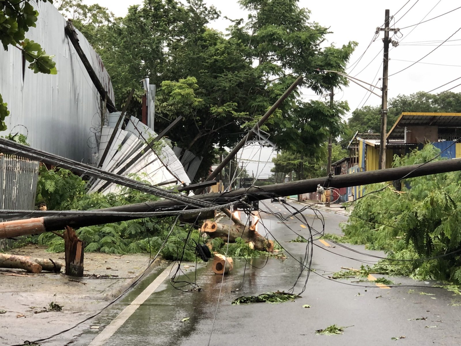 epa10194114 Fallen electrical poles after Hurricane Fiona passed through the Colo neighborhood in Carolina, a municipality near San Juan, Puerto Rico, 19 September 2022. The work to gradually restore the electrical service in Puerto Rico, which suffered a general blackout due to Hurricane Fiona, began  to obtain the first results in municipalities in the north of the island.  EPA/JORGE MUNIZ