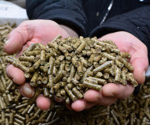 02.02.2017., Slobodnica, Slavonski Brod - Tvrtka Euro-tim vlasnika Darka Grivicica ulozila je tri milijuna kuna u novu liniju postrojenja za proizvodnju peleta u Slobodnici. "nPhoto: Ivica Galovic/PIXSELL