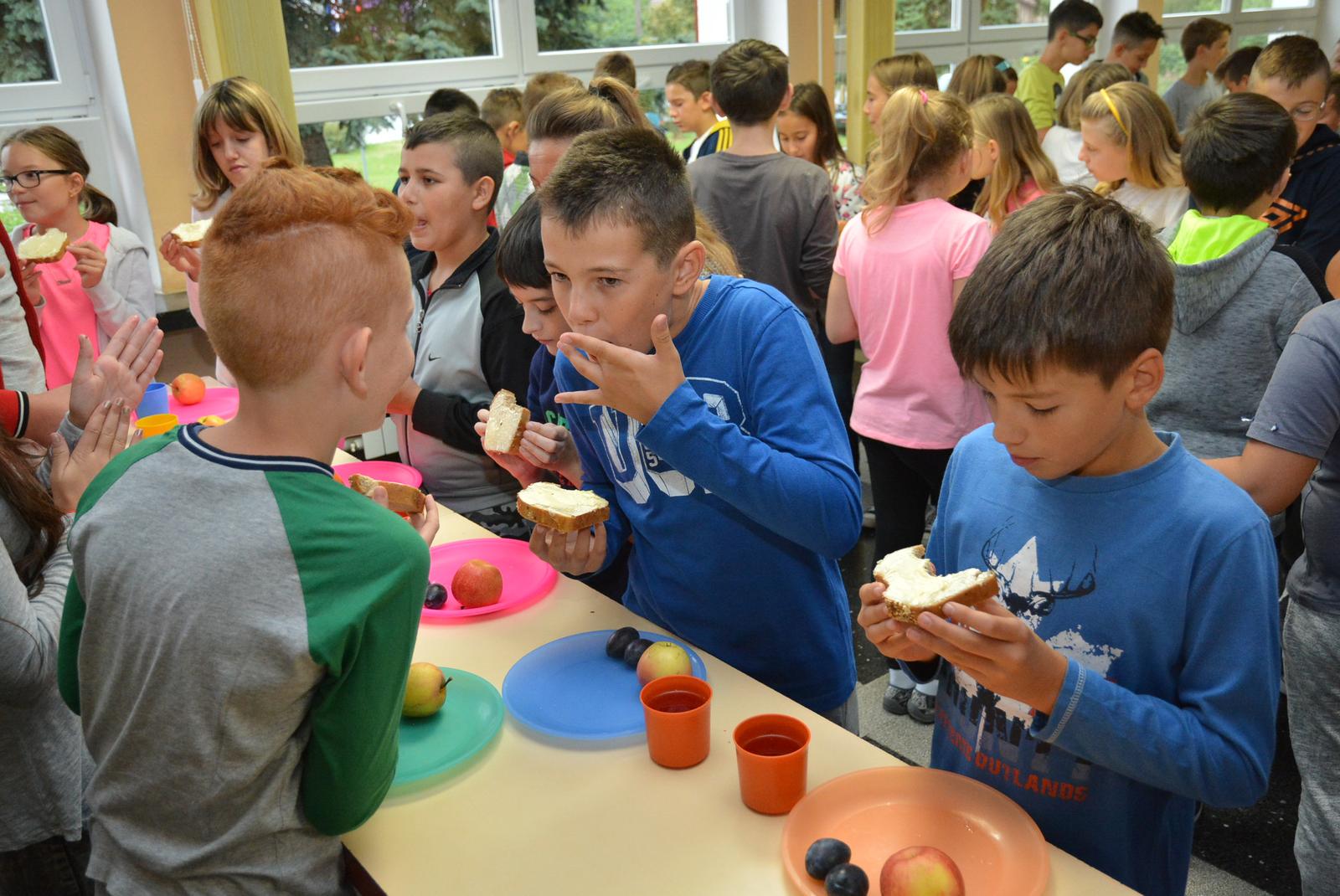 07.09.2017., Bjelovar - Grad Bjelovar prvi je u Hrvatskoj uvrstio zdravu domacu hranu u osnovne skole i vrtice. Naime, kako bi pomogao domacim obiteljskim poljoprivrednim gospodarstvima te kako bi se nasa djeca hranila kvalitetno, Grad Bjelovar je odlucio pokrenuti projekt pod nazivom 'Bjelovarski dorucak'. Rijec je o suradnji bjelovarskih OPG-a s osnovnim skolama i vrticima u smislu opskrbljivanja kuhinja s domacom hranom. Provedba projekta pocinje s ovom skolskom godinom. Photo: Damir Spehar/PIXSELL