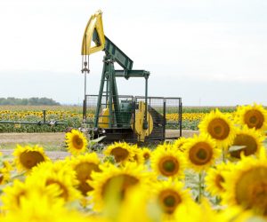 08.07.2022., Djelatovci - INA na podrucju Djeletovaca ima 9  naftnih busotina a na cijelom Vinkovackom podrucju preko 40 tako da prolazeci kroz slavonska polja nije rijetkost vidjeti njihalicu koja iz busotine crpi naftu. 
 Photo: Dubravka Petric/PIXSELL
