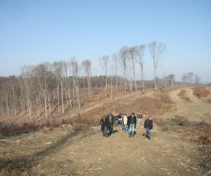 11.02.2011. Karlovac - Mjestani Tusilovica, Vukmanickog Cerovca i Babine gore protive se otvaranju Centra za gospodarenjem otpada na Babinoj gori. Suma na Babinoj gori puna je izvora pitke vode te raznog raslinja,a buduci centar bi se prostirao na povrsini na koju bi stalo 15 Keopsovih piramida.rPhoto: Kristina Stedul Fabac/PIXSELL
