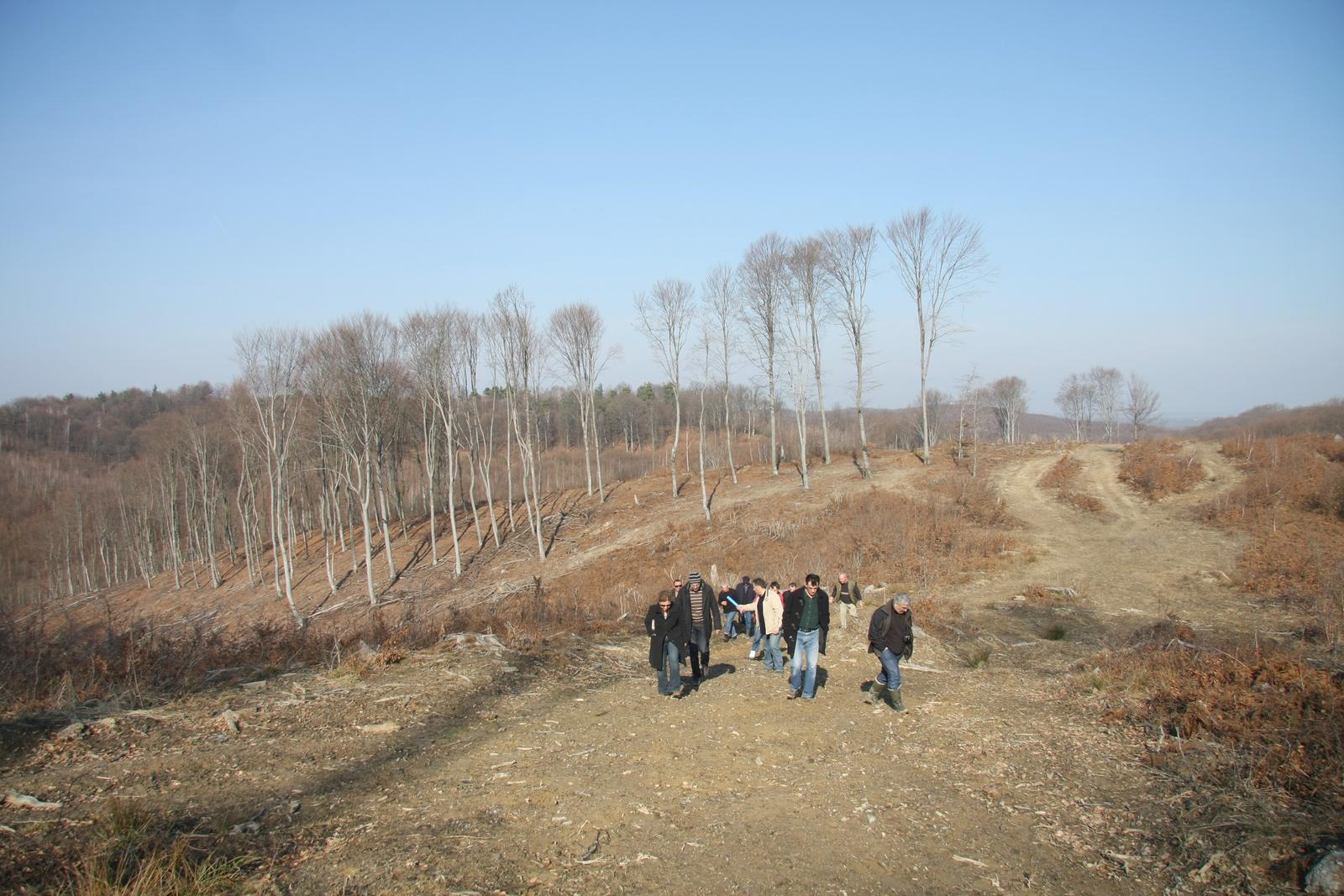 11.02.2011. Karlovac - Mjestani Tusilovica, Vukmanickog Cerovca i Babine gore protive se otvaranju Centra za gospodarenjem otpada na Babinoj gori. Suma na Babinoj gori puna je izvora pitke vode te raznog raslinja,a buduci centar bi se prostirao na povrsini na koju bi stalo 15 Keopsovih piramida.rPhoto: Kristina Stedul Fabac/PIXSELL