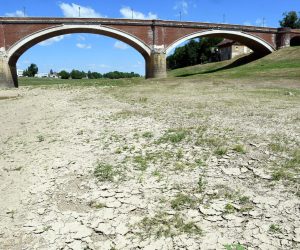 13.07.2022.,Sisak - Zbog visokih temperatura i manjka kise obala Kupe se susi i puca.  Photo: Nikola Cutuk/PIXSELL