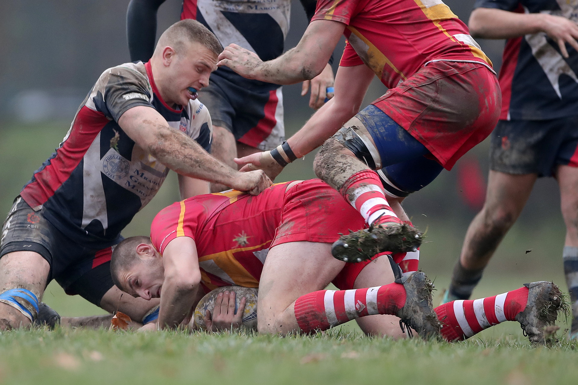 27.11.2021., Zagreb - Finale Prvanstva Hrvatske u ragbiju, HARK Mladost - RK Nada. Rugby Nada Split je prvak Hrvatske! U finalu su dobili Mladost iz Zagreba. Pixsell/Igor Kralj