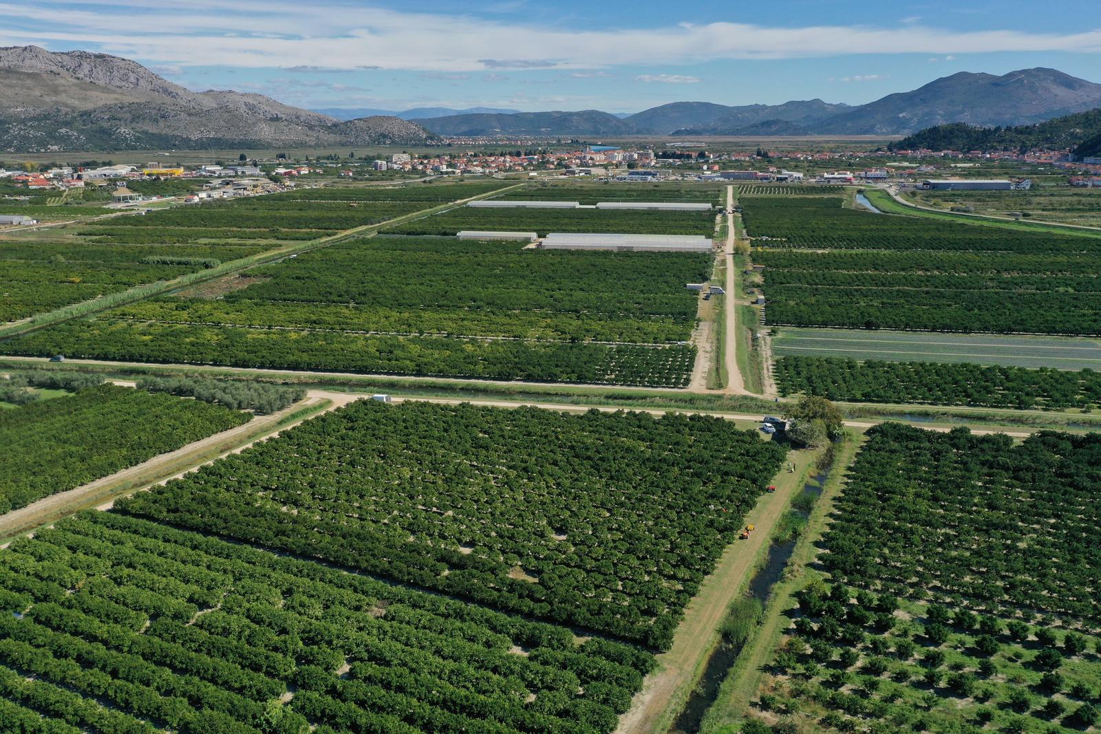 04.10.2022., Opuzen - Fotografija iz zraka plantaze mandarina OPG-a Blago Neretve u vlasnistvu Pavla i Nikoline Delije. Photo: Matko Begovic/PIXSELL  Photo: Matko Begovic/PIXSELL
