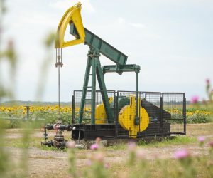 08.07.2022., Djelatovci - INA na podrucju Djeletovaca ima 9  naftnih busotina a na cijelom Vinkovackom podrucju preko 40 tako da prolazeci kroz slavonska polja nije rijetkost vidjeti njihalicu koja iz busotine crpi naftu. 
 Photo: Dubravka Petric/PIXSELL