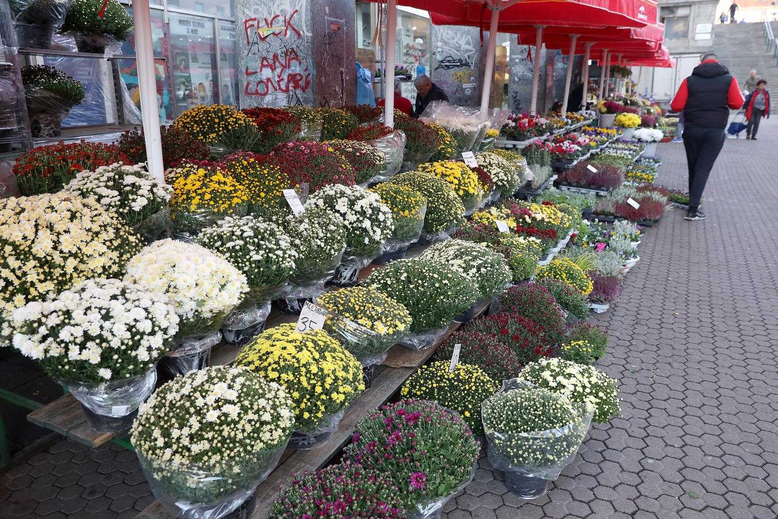 18.10.2022., Zagreb - Ponuda cvijeca na Splavnici prilagodjena je predstojecem blagdanu Svih Svetih, pa se najvise nude krizanteme, multiflore i spine. Photo: Patrik Macek/PIXSELL