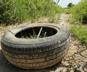 05.08.2013., Koprivnica - Prve negativne posljedice visednevnih visokih temperatura - najveci potok na koprivnickom podrucju koji prolazi kroz grad je vecim dijelom  presusio, zbog cega su mnoge ribe i zabe uginule. Iz korita se siri smrad zbog uginulih zivotinja i vidi se gradjevinski, plasticni i drugi otpad koji su neodgovorni gradjani bacili u potoka, no iz gradske uprave nema najave njegovog ciscenja i produbljivanja iako je dvije godine za redom zbog obilnih kisa prijetio poplaviti veci dio grada, Foto: Marijan Susenj/PIXSELL