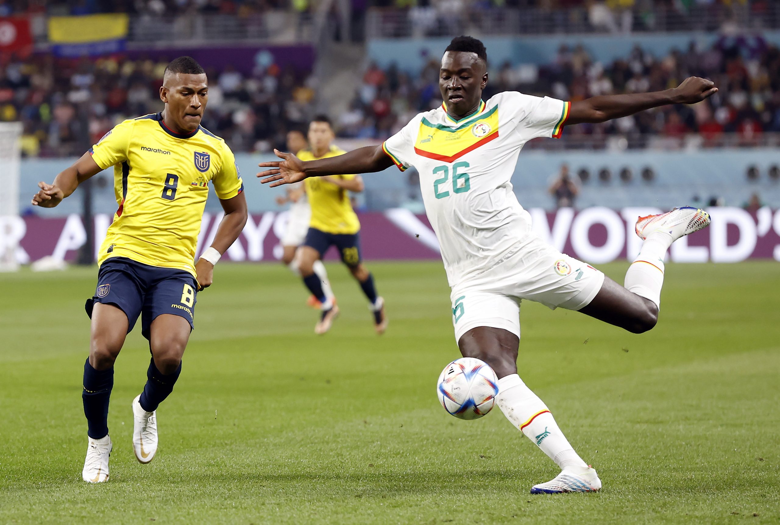 epa10336416 Carlos Gruezo (L) of Ecuador in action against Pape Gueye of Senegal during the FIFA World Cup 2022 group A soccer match between Ecuador and Senegal at Khalifa International Stadium in Doha, Qatar, 29 November 2022.  EPA/Rolex dela Pena