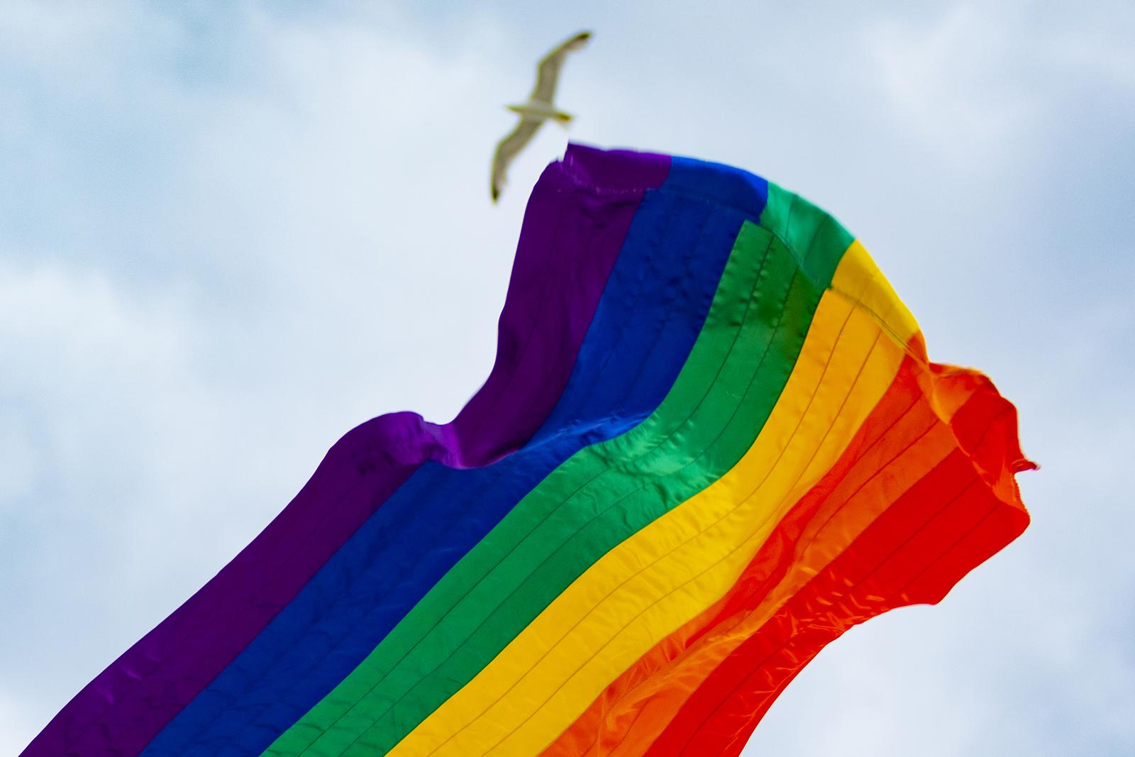 08.07.2022., Split - Podizanje Pride zastave kao najava Split Pridea. U Splitu se 17.07. odrzava jedanaesta splitska Povorka ponosa, odnosno Split Pride. Photo: Milan Sabic/PIXSELL