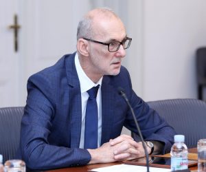 12.07.2019., Zagreb - Odbor za ustav, poslovnik i politicki sustav na 57. sjednici je raspravljao o prijedlogu zakljucka o zahtjevu za raspisivanje refrenduma inicijative 67 je previse.rPhoto: Patrik Macek/PIXSELL