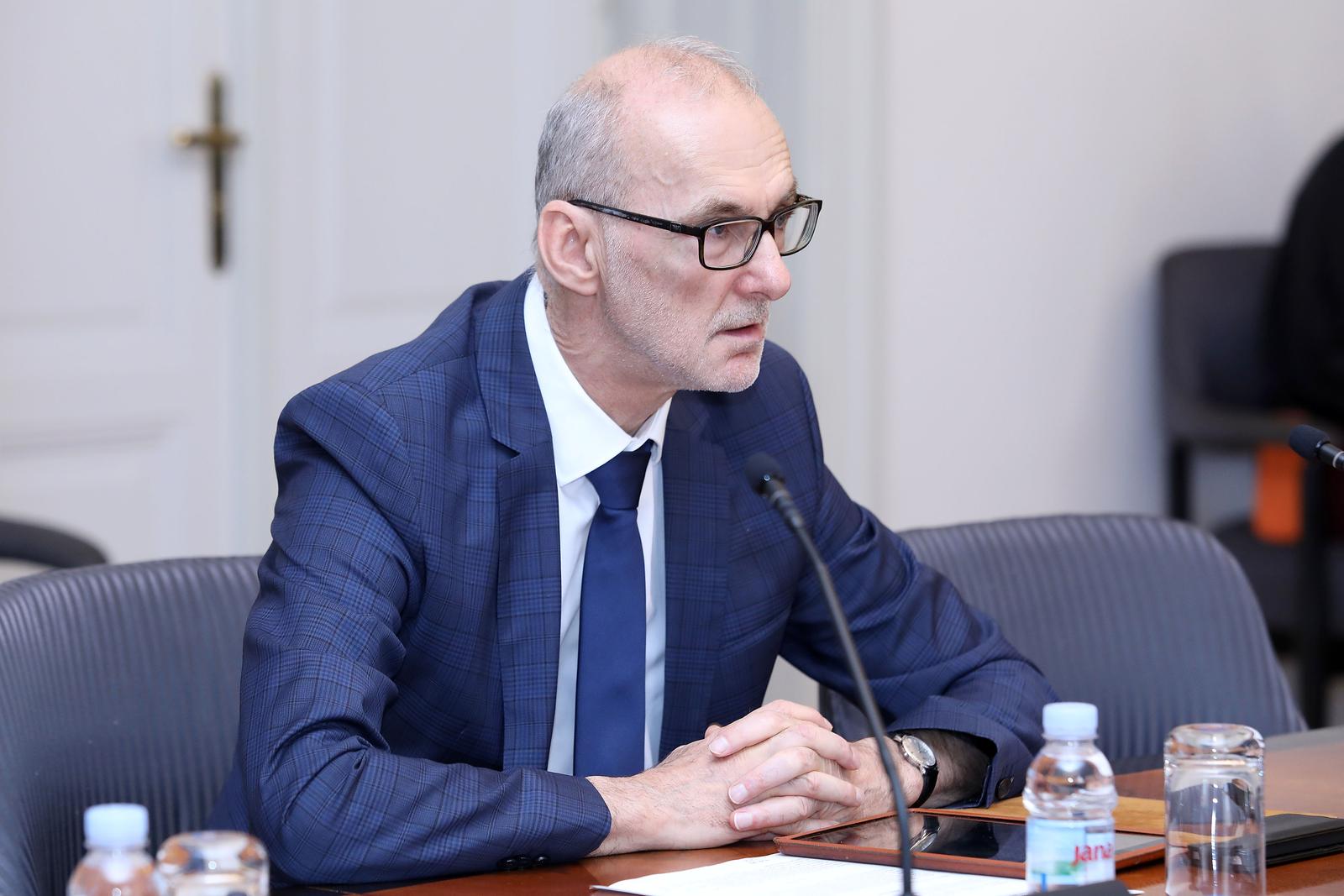 12.07.2019., Zagreb - Odbor za ustav, poslovnik i politicki sustav na 57. sjednici je raspravljao o prijedlogu zakljucka o zahtjevu za raspisivanje refrenduma inicijative 67 je previse.rPhoto: Patrik Macek/PIXSELL