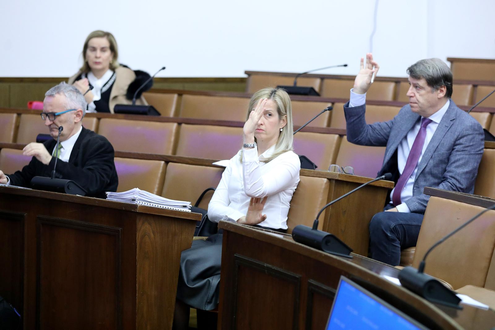 14.11.2022., Zagreb - U Saboru je pocela 27. sjednica Nacionalnog vijeca za pracenje provedbe Strategije suzbijanja korupcije. Pozivu na sjednicu posvecenu aferi INA odazvali su se bivsi clanovi nadzornog odbora Davor Stern i Sinisa Petrovic.
. Photo: Patrik Macek/PIXSELL