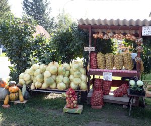 Brojni OPG-ovi domaće proizvode prodaju na kućnom pragu 20.09.2018., Ogulin - Brojni OPG-ovi domace proizvode prodaju na kucnom pragu. rrPhoto: Kristina Stedul Fabac/PIXSELL