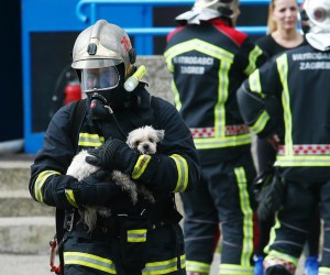 22.03.2017., Zagreb - Pozar stana u ulici Jurja Neidhardta,  naselju Gredice. U pozaru je ostecen balkon i dnevni boravak te stradala papiga. U trenutku izbijanja pozara u stanu se nalazio dvanestogodisnjak koji je nazvao mamu  te rekao da gori stan. Djelatnici JVP Zagreb ugasili su pozar te jednu stariju osobu vatrogasnom ljestvom izvukli iz stana jer se nagutala dima. Vatrogasci su i iz zgrade izvukli dva psa koje su vratili vlasnicima. Photo: Zeljko Lukunic/PIXSELL
