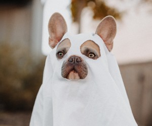 Unsplash/Karsten Winegeart