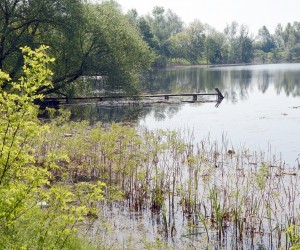 28.04.2018., Muzilovcica - Rukavac Save. 
Photo:Nikola Cutuk/PIXSELL