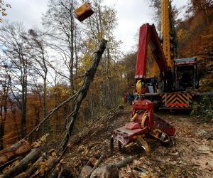 26.10.2020. Ogulin, Dreznica- Radnici Hrvatskih suma koriste novu zicaru za izvlacenje stabala iz sume umjesto traktora i konja."n"nPhoto: Boris Scitar/Vecernji list/PIXSELL