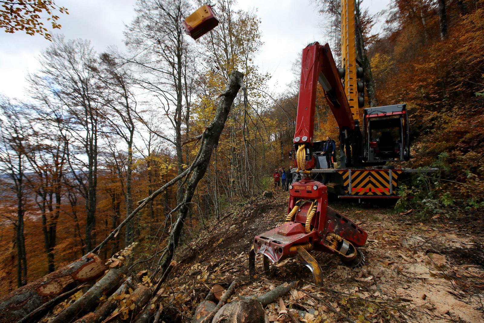 26.10.2020. Ogulin, Dreznica- Radnici Hrvatskih suma koriste novu zicaru za izvlacenje stabala iz sume umjesto traktora i konja."n"nPhoto: Boris Scitar/Vecernji list/PIXSELL