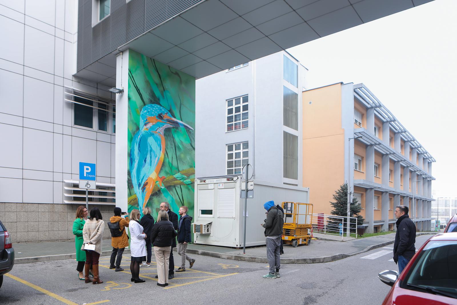 25.11.2022., Zagreb - Na zidu glavne zgrade KBC Zagreba na Rebru svecano je otkriven mural koji je nastao u suradnji Udruge Domino s kolektivom Graffiti na Gradele. Na grafitu je umjetnik Goran Rakic Chez izveo sliku ptice Vodomara, jedinog predstavnika te porodice u Europi, pa tako i u Hrvatskoj, koji je ugrozena vrsta. Photo: Tomislav Miletic/PIXSELL