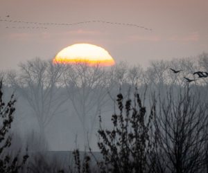epa10371426 A flock of birds flies past as the sun rises over the Vistula River in Topolno, northern Poland, 18 December 2022.  EPA/Tytus Zmijewski POLAND OUT