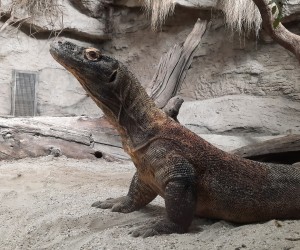 Press/Zoo Zagreb
